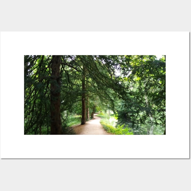 Baddesley Clinton woodland walk A Wall Art by longford